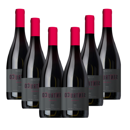 Sintruco Malbec x6