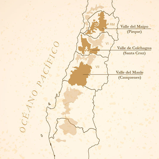 VIÑEDO