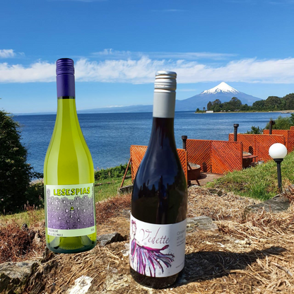 “Sol, Piscina y Moretta” ☀️🍷